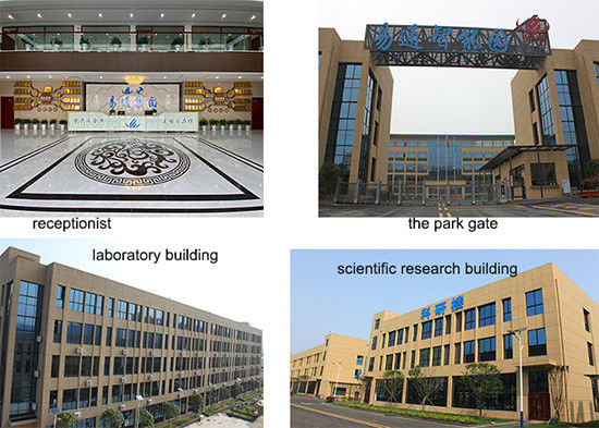 CCC LEDの球根SMTの一突きの場所機械高精度の認識24の頭部